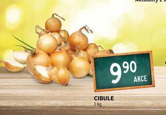 Terno Cibule nabídka