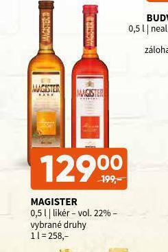Terno Magister nabídka