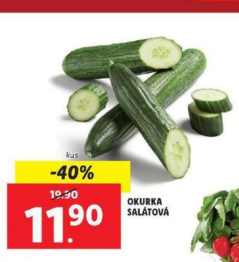 Lidl Okurka salátová nabídka