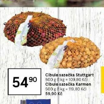 Tesco Cibule sazečka karmen nabídka