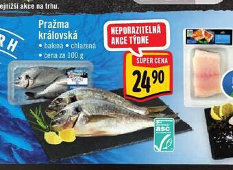 Jip Pražma královská nabídka