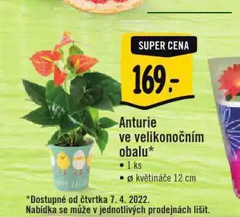 Jip Anturie ve velikonočním obalu nabídka