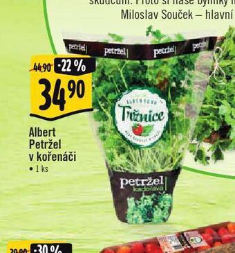 Albert Petržel v kořenáči nabídka