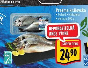 Albert Pražma královská nabídka