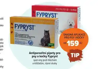 Pet Center Antiparazitní pipety pro psy a kočky fypryst nabídka