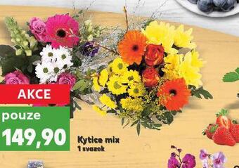 Kaufland Kytice mix nabídka