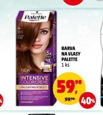 Penny Market Palette barva na vlasy nabídka