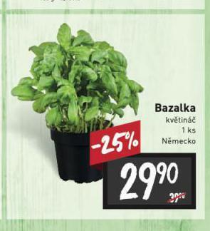 Billa Bazalka nabídka