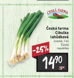 Billa Cibule lahůdková nabídka