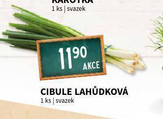 Terno Cibule lahůdková nabídka