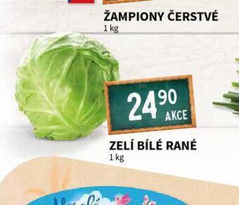 Terno Zelí bílé rané nabídka