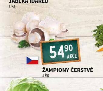 Terno Žampiony nabídka
