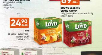 Terno Loyd čaj nabídka