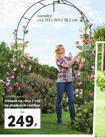 Lidl Oblouk na růže / věž na popínavé rostliny nabídka