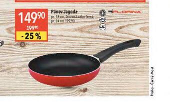 Globus Pánev 24 cm nabídka