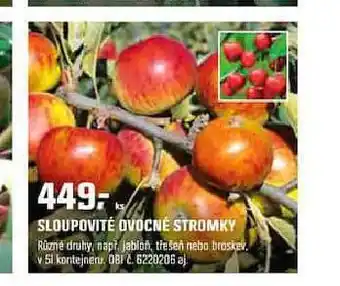 Sloupovité ovocné stromky