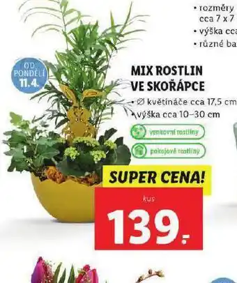 Lidl Mix rostlin ve skořápce nabídka