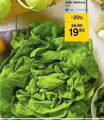 Tesco Salát hlávkový nabídka