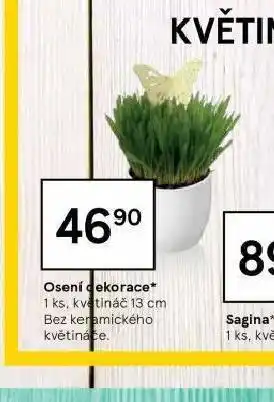 Tesco Osení dekorace nabídka