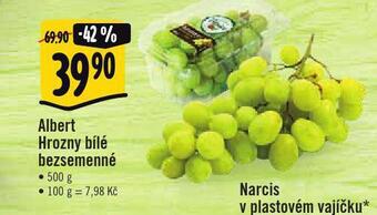 Jip Hrozny bílé bezsemenné nabídka