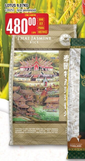 Tamda Foods Lotus 9,07kg nabídka