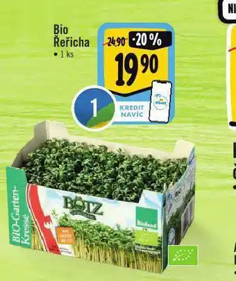 Bio řeřicha