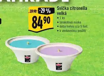 Albert Svíčka citronella velká nabídka
