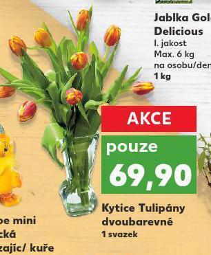 Kaufland Kytice tulipány nabídka