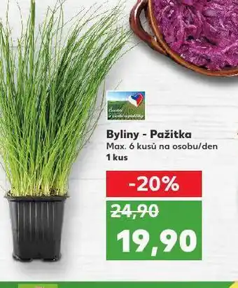 Kaufland Byliny - pažitka nabídka
