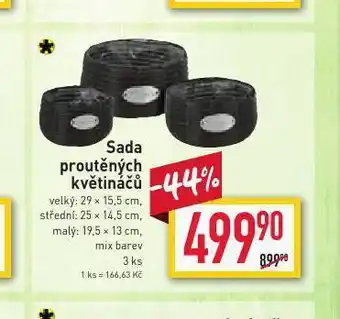 Billa Sada proutěných květináčů nabídka