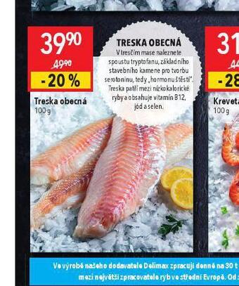 Globus Treska obecná nabídka