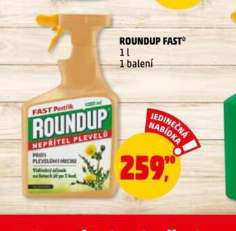 Penny Market Roundup fast nabídka