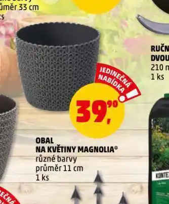 Penny Market Obal na květiny magnolia nabídka