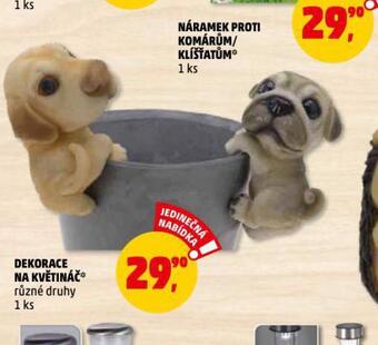Penny Market Dekorace na květináč nabídka