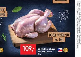 Globus Selské kuře nabídka