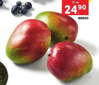 Lidl Mango nabídka