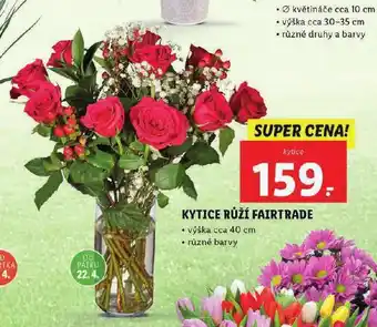 Lidl Kytice růží fairt rade nabídka