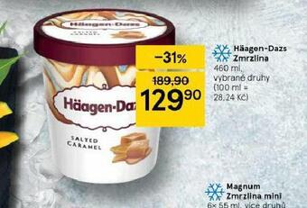 Tesco Häagen - dazs zmrzlina nabídka
