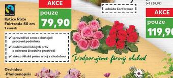 Kaufland Kytice růže nabídka