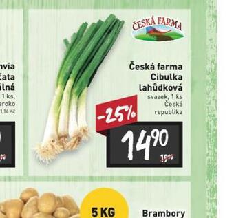Billa Cibulka lahůdková nabídka