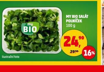 Penny Market My bio salát polníček nabídka