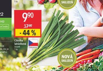 Globus Cibulka lahůdková nabídka