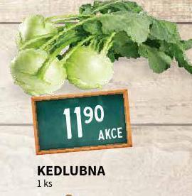 Terno Kedlubna nabídka