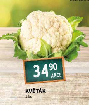 Terno Květák nabídka