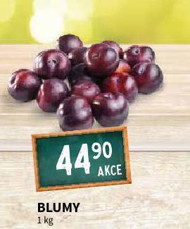 Terno Blumy nabídka