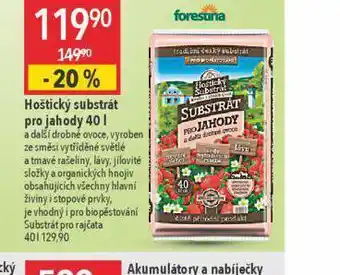 Globus Hoštický substrát na jahody nabídka
