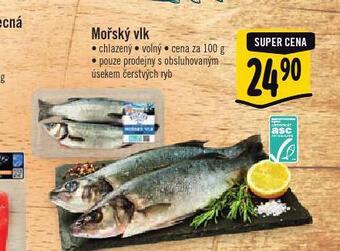 Albert Mořský vlk nabídka