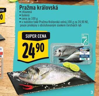 Albert Pražma královská nabídka