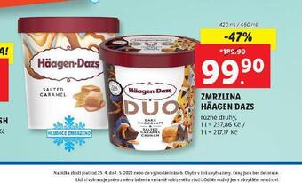 Lidl Häagen - dazs zmrzlina nabídka