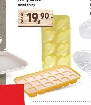 Globus Formy na led nabídka